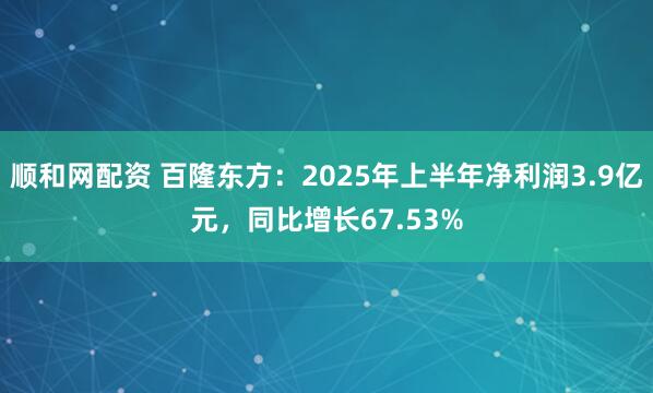 顺和网配资 百隆东方：2025年上半年净利润3.9亿元，同比增长67.53%